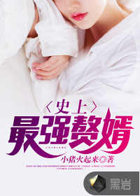 史上最强赘婿封面