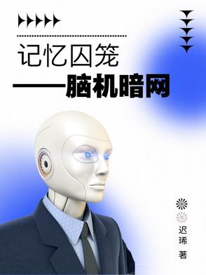 记忆囚笼：脑机暗网封面