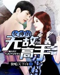 女神的无敌高手封面