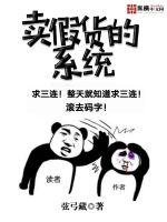 卖假货的系统封面