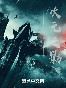 全职法师:次元之影封面