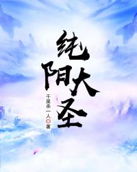 纯阳大圣封面
