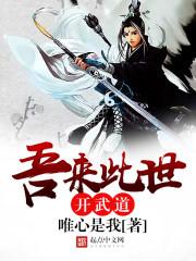 吾来此世开武道封面