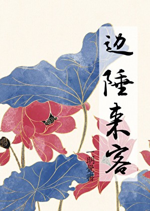 边陲来客封面
