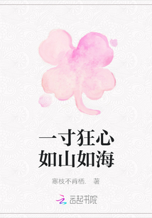 一寸狂心如山如海封面