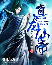 真龙仙帝封面