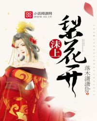 沫上梨花开封面