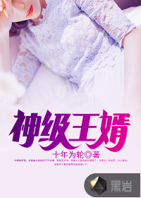 神级王婿封面