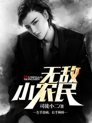 无敌小农民封面