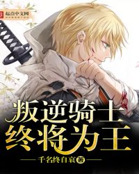 叛逆骑士终将为王封面