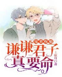 完美攻略：谦谦君子，真要命封面