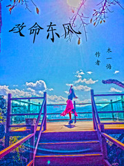 改命东风封面