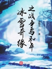 冰雪奇缘之战争与和平封面