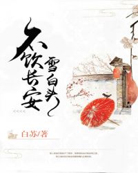 不饮长安雪白头封面