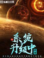 系统升级中封面