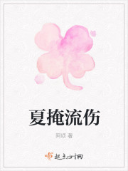 夏掩流伤封面