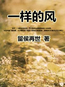一样的风封面