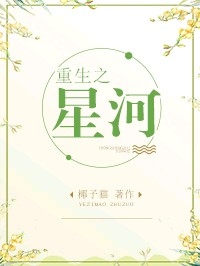重生之星河封面