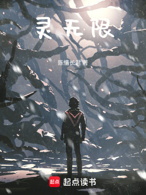 灵无限封面