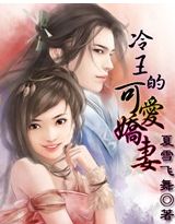 冷王的可爱娇妻封面