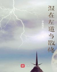 混在左道当散修封面