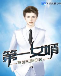 第一女婿封面