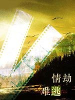 情劫难逃封面