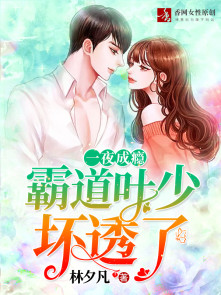 一夜成瘾：霸道叶少坏透了封面