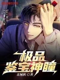 极品鉴宝神瞳封面