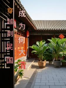 穿越到民国成为何大清封面