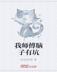 我师傅脑子有坑封面