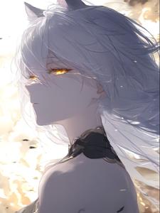 崩坏，为了活着所以抱歉了封面