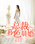总裁暮色晨婚封面