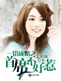 一错成婚之首席不好惹封面