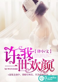 许我一世欢颜封面