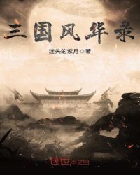 三国风华录封面