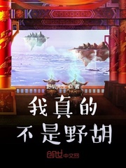 我真不是野胡封面