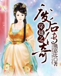 穿越之废后传奇封面