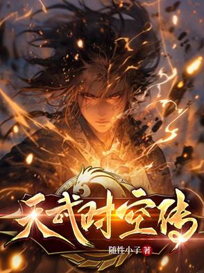 天武时空传封面