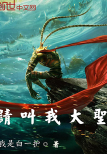 请，叫我大圣封面