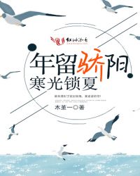 年留骄阳寒光锁夏封面