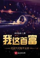 我这首富的运气可能不太好封面