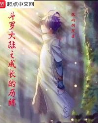 斗罗大陆之成长的历练封面