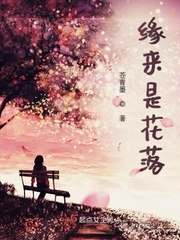 缘来是花落封面