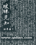 暧昧先知封面