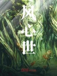 风心世封面