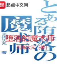 堕落的魔术师封面