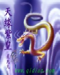 天缘紫皇封面