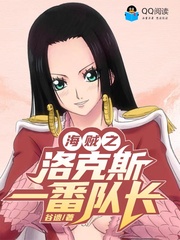 海贼之洛克斯一番队长封面
