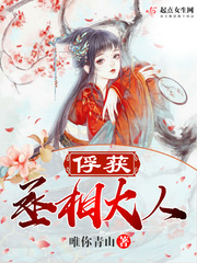 俘获丞相大人封面
